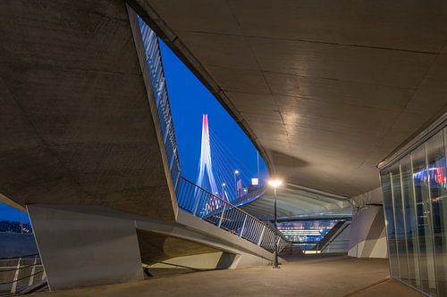 Le pont Erasmus à Rotterdam en rouge, blanc, bleu
