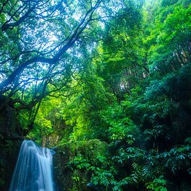 Waterval Azoren van Annemarie Winkelhagen