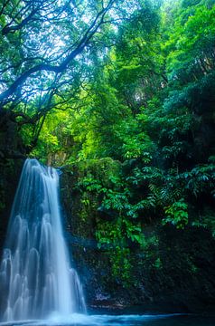 Waterval Azoren von Annemarie Winkelhagen