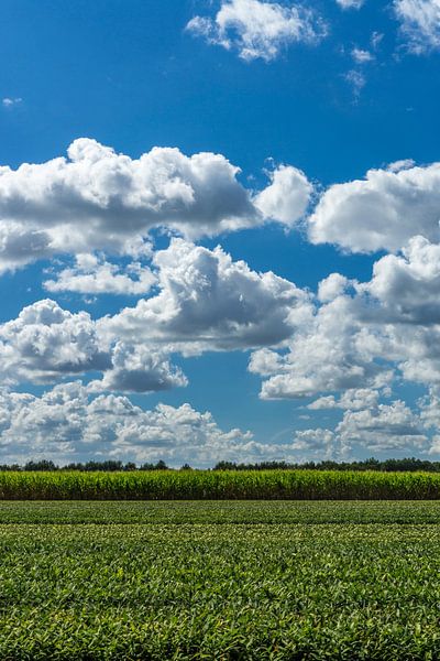 Intense cloud air by Joost Potma