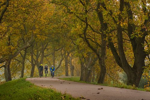 Wielrenners fietsen op de Notendijk