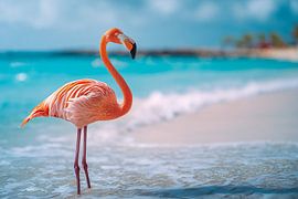 Cubaanse flamingo (Phoenicopterus ruber) op het strand aan de Caribische kust