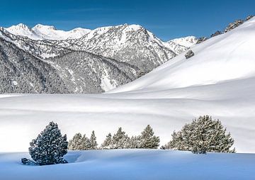 Winter in het Nationaal Park van de Pyreneeën van Hilke Maunder