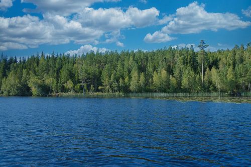 Meer in Zweden met witte wolken, blauw water en bomen aan de oever