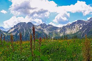 Alpen uitzicht van Thomas Heitz