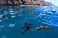 Dolphins in Hawaii by Antwan Janssen thumbnail