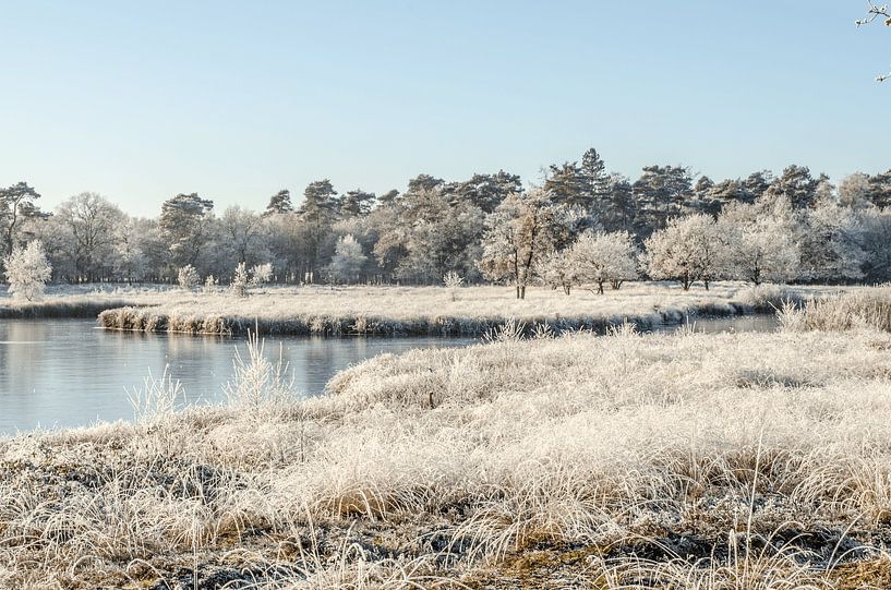 Winterliche Atmosphäre in Westerwolde von Kieqseem