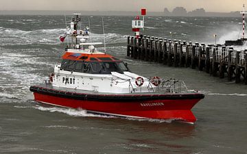 Bateau pilote sur la Westerschelde près de Vlissingen sur MSP Canvas