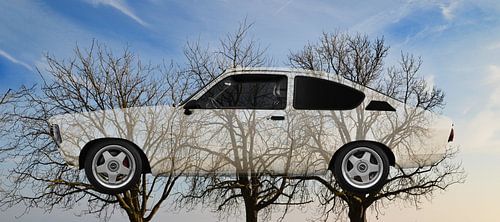 Opel Cadet C on 3trees