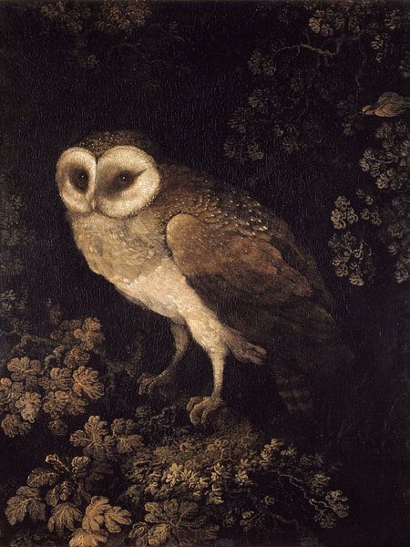 An Owl by Apolo Prints
