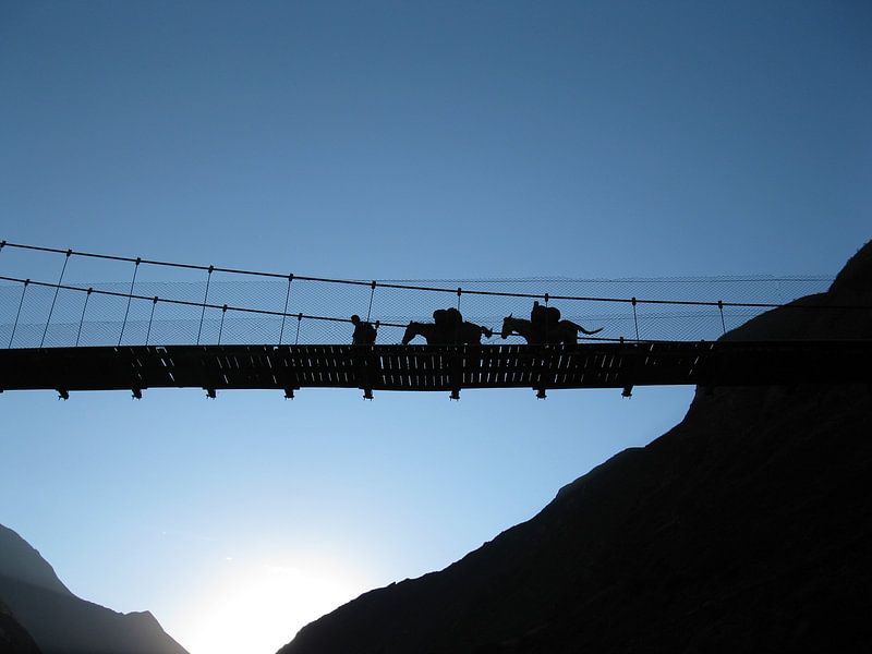 Ezels op een brug in Peru  van Bart Muller