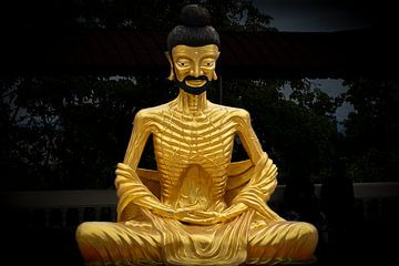 Der asketische Buddha: Weisheit in der Abgeschiedenheit von Franklin Driessen