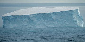 Grote ijsberg Antarctica van Benny Cottele