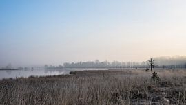 Leersumse veld partie 6 sur Tania Perneel