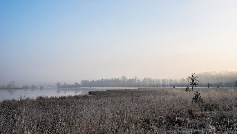 Leersumse veld part 6 van Tania Perneel