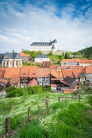 Frühling in Stolberg (Harz) von Martin Wasilewski