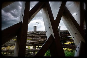 La mouette sur Evert Jan Looise