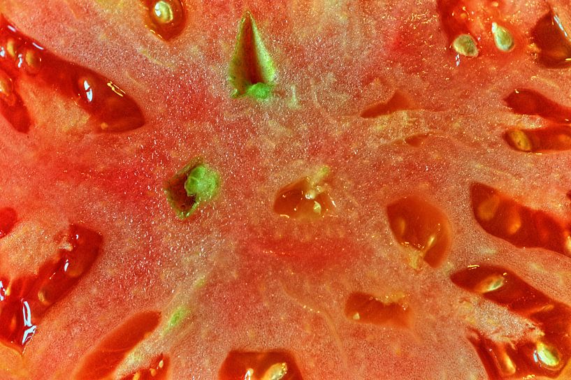 Fleischtomate van Edgar Schermaul