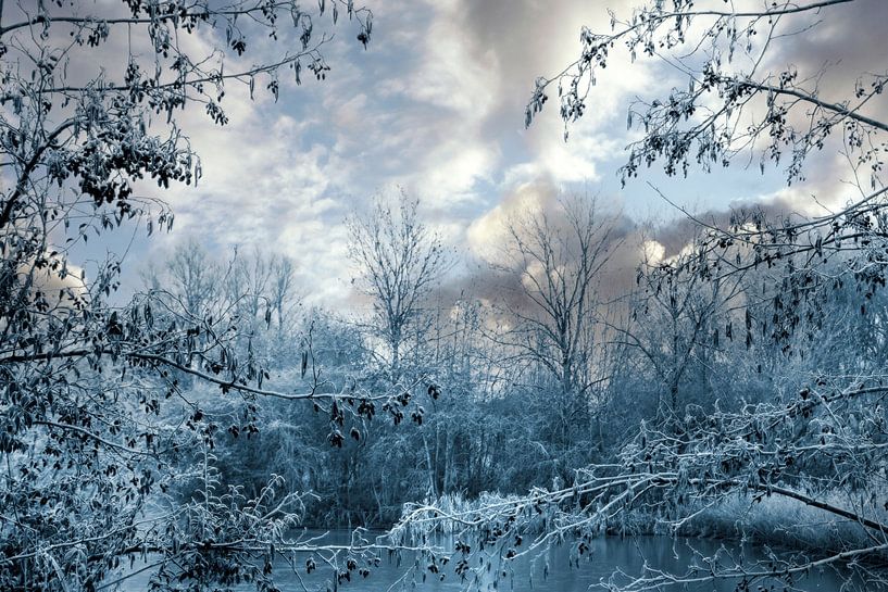 Wintermorgen von Diana Mets