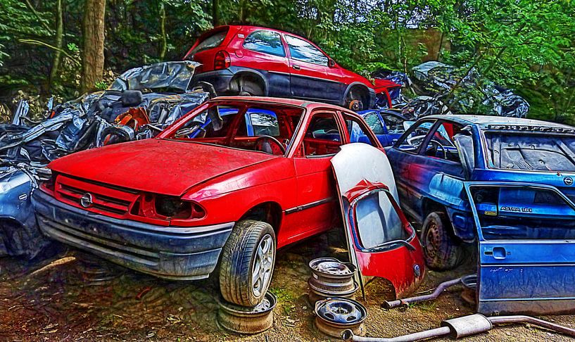 Zinnfänger (Autowracks) von Caroline Lichthart