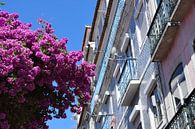 Kleurrijke betegelde gevels in Lissabon, Portugal van Studio LE-gals thumbnail