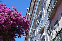 Kleurrijke betegelde gevels in Lissabon, Portugal
