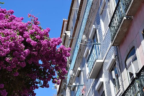 Façades en tuiles colorées à Lisbonne, Portugal