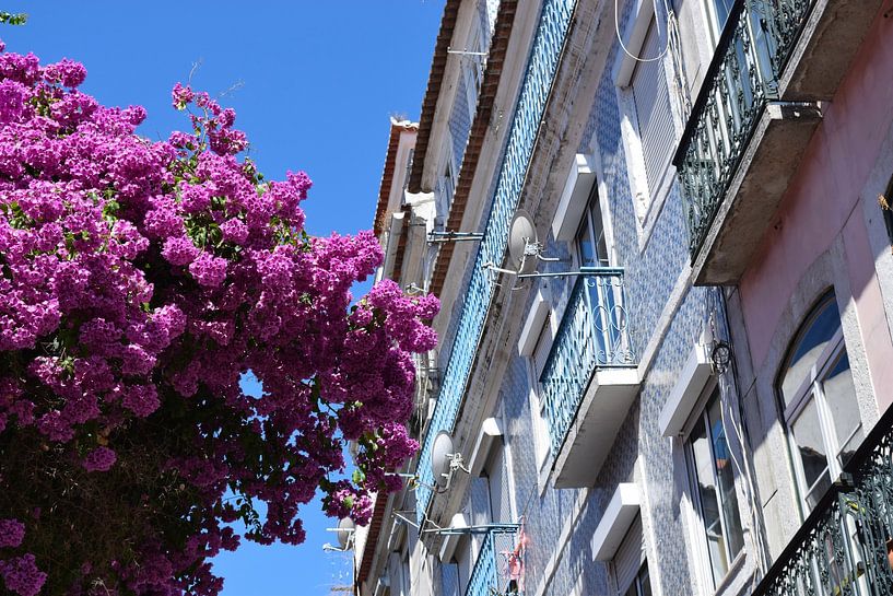 Kleurrijke betegelde gevels in Lissabon, Portugal van Studio LE-gals