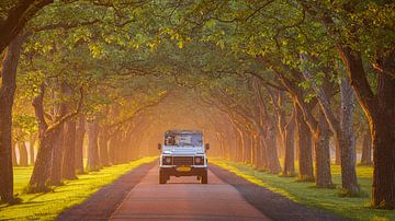 Notenlaan Mariënwaerdt mit Landrover von Richard Nell