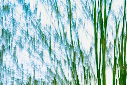Botanical icm fotografie met bomen