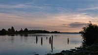 Evening light over the Biesbosch.