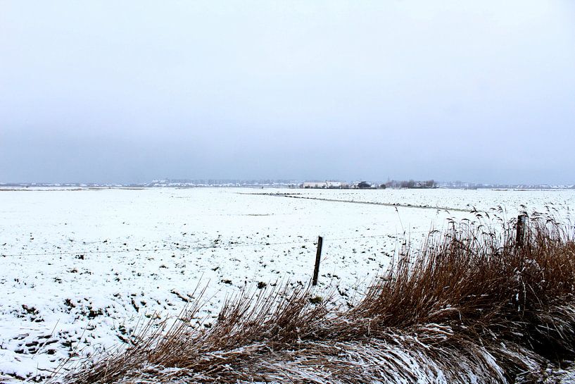 winterpolder by Jean Jacobs