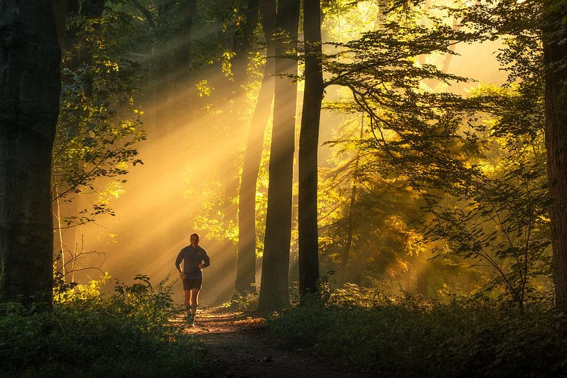 Runner in golden sunbeams by Moetwil en van Dijk - Fotografie
