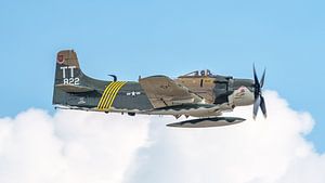 Oiseau de guerre Douglas A-1D Skyraider.