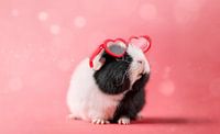 Guinea Pig Heart Glasses by Marloes van Antwerpen thumbnail
