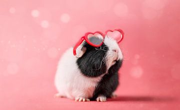 Cavia Hartjesbril - cavia kinderkamer - cavia roze van Marloes van Antwerpen