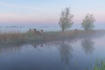 Stimmungsvoller Morgen im Grootegaster Mühlenpolder von Annie Jakobs