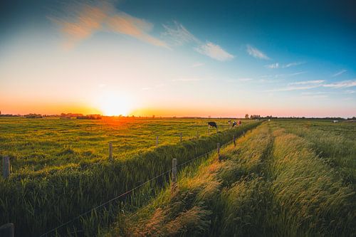 Walcheren zonsondergang