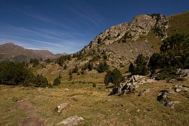 Zomer in de berglandschappen van de Pyreneeën van Paul Wendels