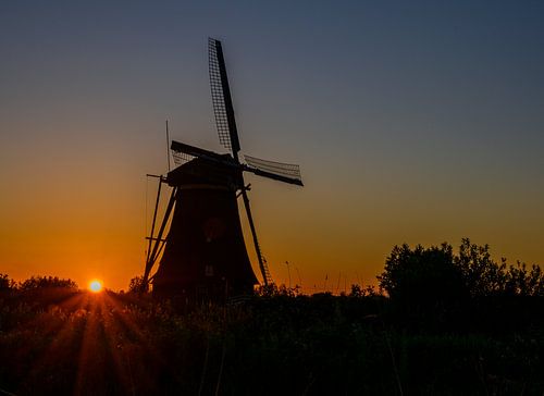 De molens van Kinderdijk