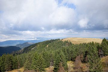 Vue du Feldberg dans la Forêt Noire