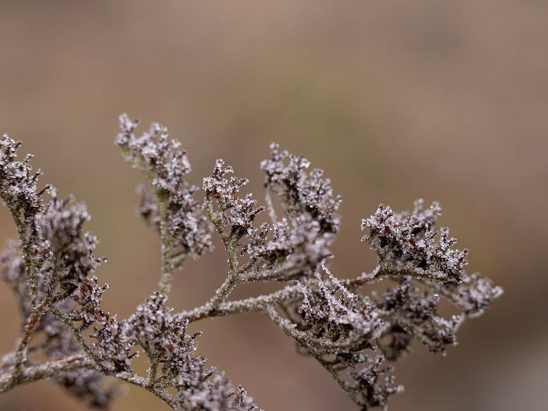 la nature est mûre par MvdP fotografie