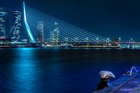 De Eurasmusbrug
