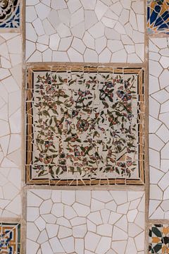 Park Guell | Mosaic wall| Barcelona by Roanna Fotografie