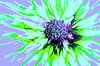 Abstracte Bloem/Abstract Flower/Abstrakte Blume/La Fleur abstraite van Joke Gorter thumbnail