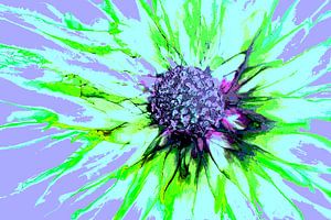 Abstracte Bloem/Abstract Flower/Abstrakte Blume/La Fleur abstraite