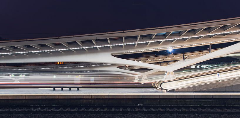 Gare de Liège-Guillemins par Capture the Light