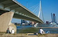 Rotterdam, Erasmusbrug