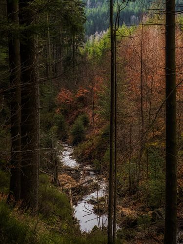 Der kleine Fluss