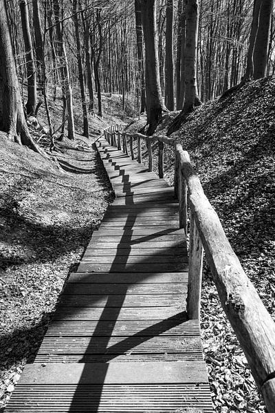 Neigembos, Houten Trappen Landschap van Imladris Images